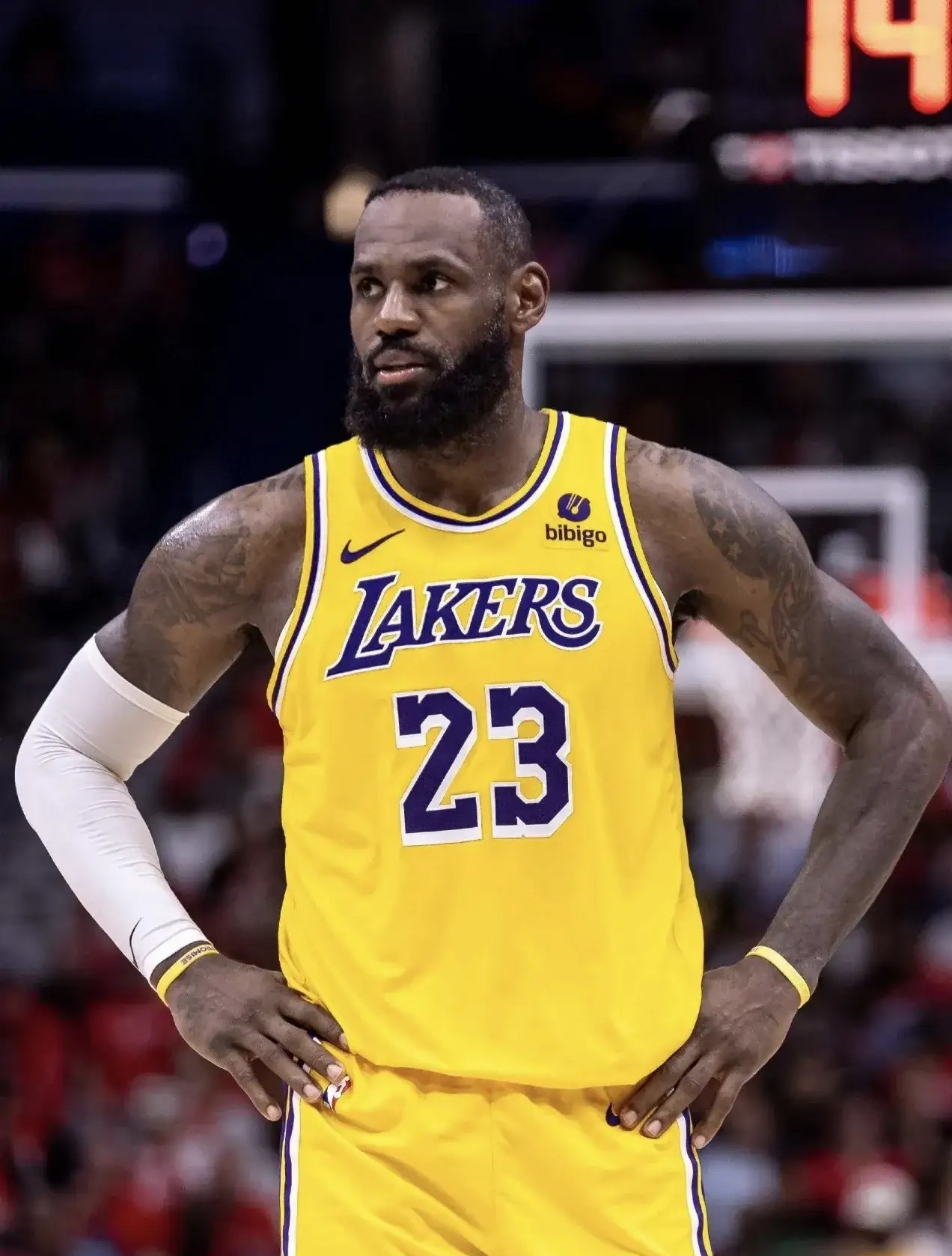 詹姆斯新星赛况扑朔迷离表现惊艳，C9未来可期！的简单介绍